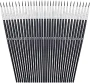 Anezus Miniature Detail Paint Brushes, 30 Pcs Paintbrushes Small Watercolor Artists Paint Brushes for Acrylics Oil Model Craft Nail Detail Painting, Size 00