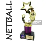 1 x NETBALL Premium custom sports 240mm Trophy MVP Winner club competition beach