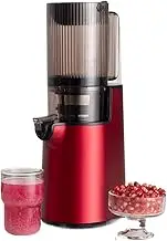 Cold Press Juicer, 250W Slow Masticating Juicer with Juice/dregs Catching Cup, Detachable Pulp Separator Juicer with Cleaning Brush, Suitable for Whole Vegetables and Fruits