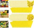 54 Pack Fruit Fly Trap for Indoor, Gnat Traps for House Indoor, Fungus Gnat Kill
