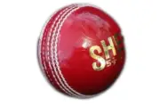 MB Malik " Sher" Cricket Leather Hard Ball