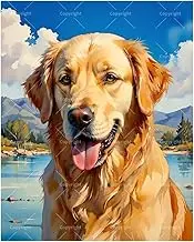 Joyful Animal Paint by Numbers Kit for Adults - DIY Happy Golden Retriever Portrait Painting on Canvas 16x20In, Acrylic Paint Set, Suitable for Beginners,Pet Art for Home Decoration or Gifts