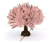 Cherry Blossom Classic Pop Up Card - 3D Card, Mother’S Day Card, Card For Wife, Card For Mom, Anniversary Pop Up Card, Greeting Card, Pop Up,Cherry Blossom