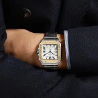 在飛比找蝦皮購物優惠-手錶瑞士男士山度士系列自動機械男表腕錶WSSA0037灰盤鋼