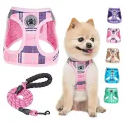 Small Dog Harness and Leash Set,Step in No Small(Chest Girth 14.5" - 16") Pink
