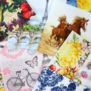 Mystery Pack Decoupage Napkins, LOT of 20 Assorted Variety Random Napkin