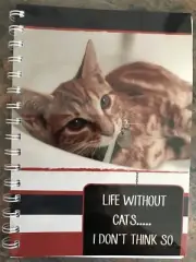 2025 year diary 'life without cats... I don't think so' Ginger