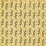 Graphic 45 Le Cirque 5p scrapbook paper Flying Trapeeze 12x12 Wholesale Circus