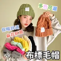 在飛比找蝦皮購物優惠-【造型毛帽】毛帽 保暖帽 針織帽 女毛帽 毛線帽 帽子 秋冬