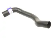 Lower Radiator Hose For 2002-2008 Mini Cooper S 2005 2003 2004 2006 2007 GP637PJ (for: Mini)