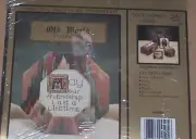 "May Our Friendship Last A Lifetime" Stitchery Kit w/ Frame NIP