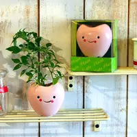 在飛比找PChome24h購物優惠-【迎光】Cute plant陶瓷植栽-愛心