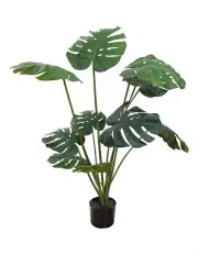 [Fusion Botanicals] Potted Faux Monstera Vine Plant 120cm in Green