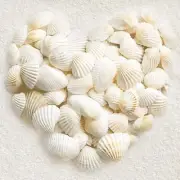 0.68LB(100pc+) Small Sea Shells White Small Tiny Sea Shells Clam Shells Bulk ...