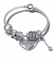 Pandora Silver Bangle Angel Dangle and 4 Charms AU Gifts