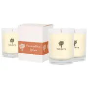 Nicola Spring Soy Wax Scented Candles - 160g - Pumpkin Spice - Pack of 3