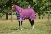 WeatherBeeta ComFiTec Premier Freedom Detach-A-Neck Pony Turnout Sheet (0g Lite)