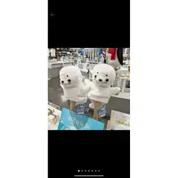 在飛比找蝦皮購物優惠-現貨 Xpark 紀念品店 白色小海豹手偶 海豹玩偶 填充玩