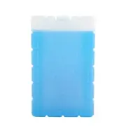 2 x Esky Large Ice Brick Pack Cooler Gel Filled BPA Free 21(H)X13(W)X4(D)CM-NEW