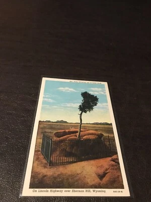 VINTAGE UNPOSTED POSTCARD TREE GROWING OUT OF SOLID ROCK-SHERMAN HILL, WYOMING