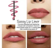 Color Street Lip Liner ~ SASSY ~ New-Retail $19~