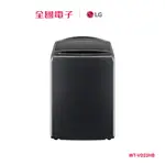 LG AIDD 23KG蒸氣直驅變頻洗衣機 WT-VD23HB 【全國電子】