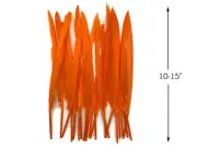 10 Pieces - Orange Goose Pointers Long Primaries Wing Feathers Costume Angel