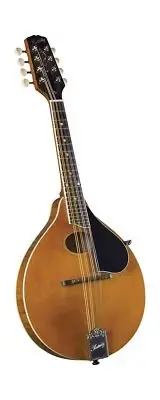 Kentucky, 8-String Mandolin, Transparent Amber (KM-272)