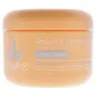 Apricot and Clementine Herbal Scalp and Body Scrub by Hempz for Unisex - 7.3 ...