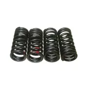 Valve Springs For Daytona Anima 150 190 4V FLX FDX FE Engine