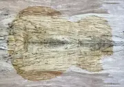 Figure Electric Guitar Top Spalted Maple Bookmatched Wood Set Luthier Supply
