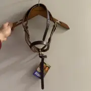 Perris Leather Premium Havana Foal Halter