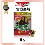 【AMINOMAX 邁克仕】CANDY POWER 能量糖 (5入/組) 戶外運動登山開車上班上課必備