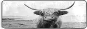 Scottish Highland Cow Hallway Runner Rugs Kitchen Floor Mats Laundry Farmhouse Living Room Decor Area Rug 72x24in Isle of Mull Style