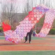Dragon Poi Colorful Scale Dance Dragon Poi Kite, Washable Dragon Streamer Set with 3D Real-Like Dragon Head, Outdoor Physical Training Art Dance Flag