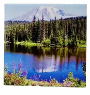 Mount Rainier National Park Ceramic Tile Trivet Coaster Travel Souvenir 4" x 4"