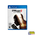 【電玩屋】現貨 PS4 垂死之光2 堅守人類身分 DYING LIGHT 2 STAY HUMAN 2022.02上市