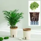 Hydroponic Plant Container Self Watering Planter Flower Pot Plant Pot