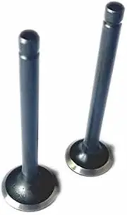 1 Pair EX17 Intake and EXHUAST EX21 in&EX Robin for SUB/ARU Gas Engine Parts