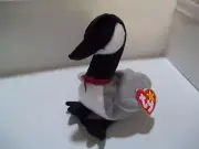 Ty Beanie Baby Jake The Mallard Drake Duck, 1997/ 1998 Rare Error Tags Tag Saver
