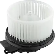 Car AC Heater Blower Motor Fan Cage DG1Z-19805-D Compatible for Ford Explorer Flex Police Lincoln MKS MKT 2012-2019 DG1Z19805A