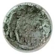 Edible MINT Petal Dust Cake Decorating Dust Gum Paste Powder 4 grams