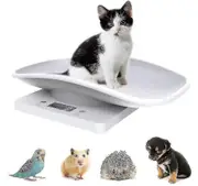 Digital Pet Scale Electronic Kitchen Food Weight Scale With Lcd Display 10kg/22lb