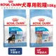 ✨橘貓MISO✨🚚免運🚚Royal Canin法國皇家 犬專用乾糧10Kg 中型/大型 幼犬 犬糧 狗飼料