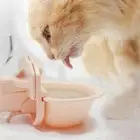 Practical Cage Hanging Bowl Dog Drinking Feeder Automatic Pet Water Dispenser
