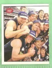 1996 AFL SELECT STICKER #227 , CARLTON BLUES, 1995 FINALS SERIES HIGHLIGHTS