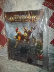 Getting Started With Warhammer Age Of Sigmar Book & Minis NEW kruleboy stormcast