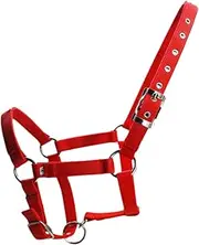 Abbraccia Adjustable Horse Halter Groundwork Headstall with Breakaway Feature for Equestrian Use