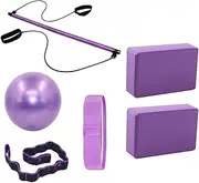 Yoga Block Brick Yoga Resistance Bands Set Portable Pull Rope Gym Workout with Pilates Bar and Yoga Balance Ball,Purple