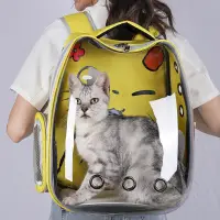 在飛比找松果購物優惠-貓咪太空艙寵物外出雙肩揹包 透明貓包 可背可提 黃色 (8.